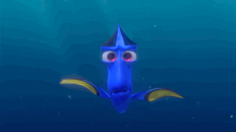 /Finding Nemo Dory GIF by Disney